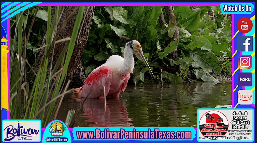 Awesome Weather Ahead For Crystal Beach, Texas On Bolivar Peninsula