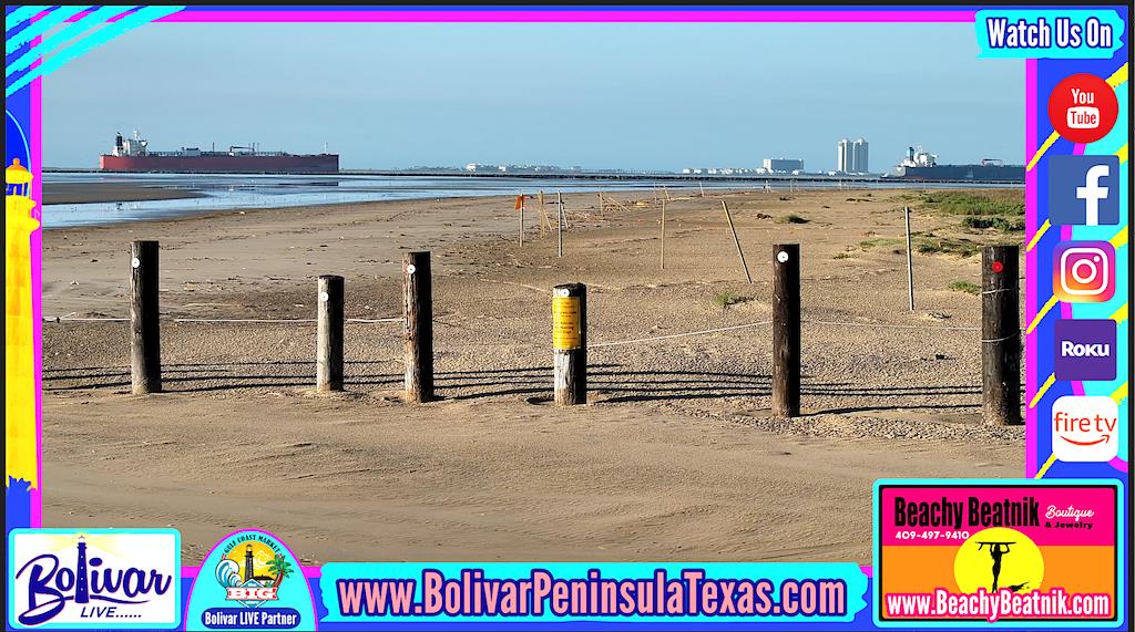 Birding On Bolivar, Beachfront And The Bolivar Flats.