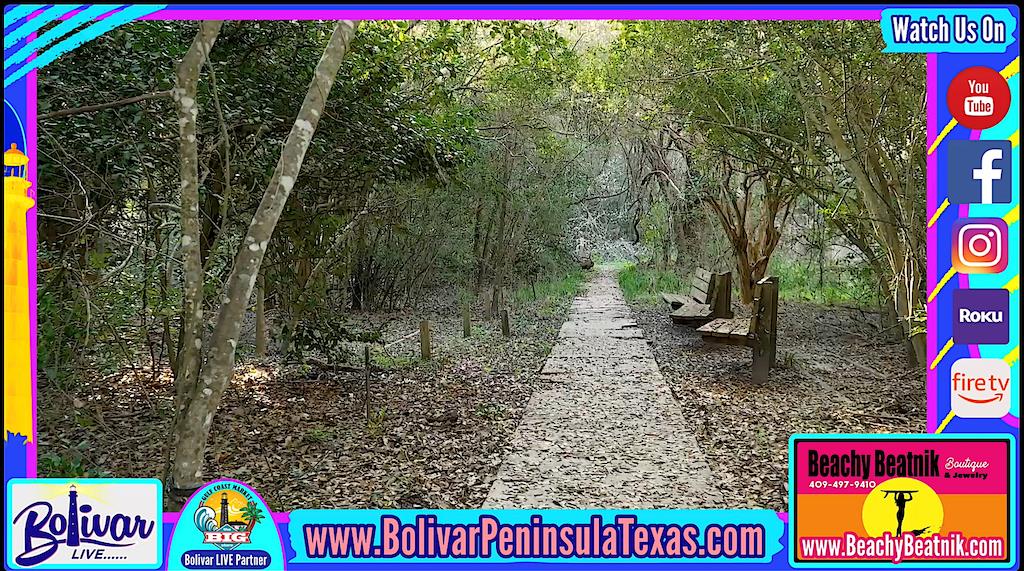 Birding On Bolivar Peninsula, A Second Entrance And View At Smith Oaks