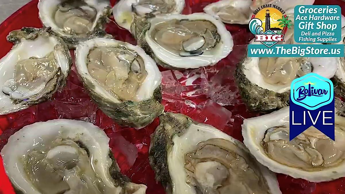 Bolivar LIVE, The Taste Of On Bolivar Peninsula and Fresh Oysters