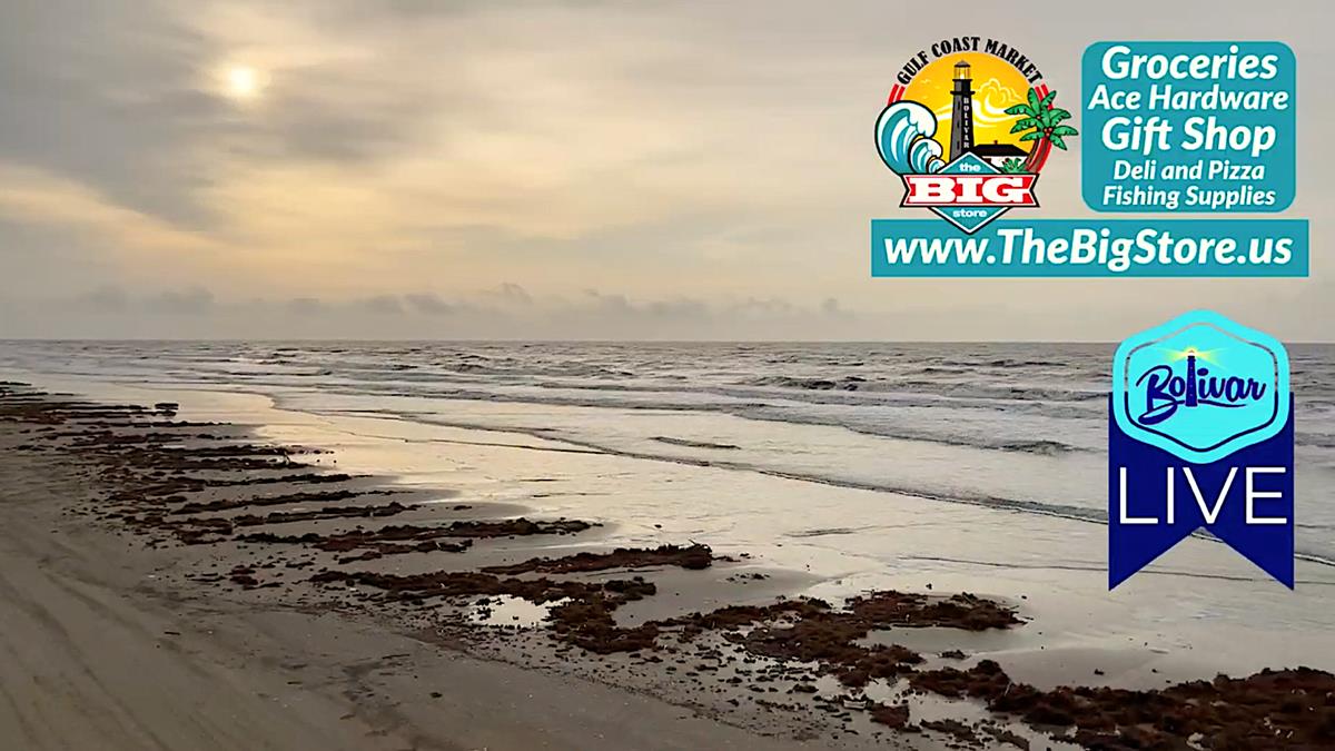 I love my morning drive beachfront, come enjoy it with family and friends in Crystal Beach, Texas.
