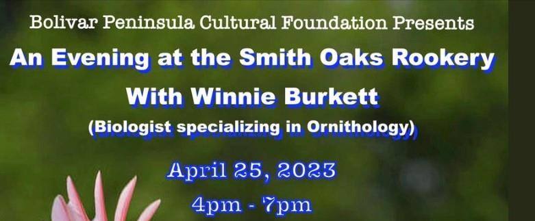 An Evening at the Smith Oaks Rookery