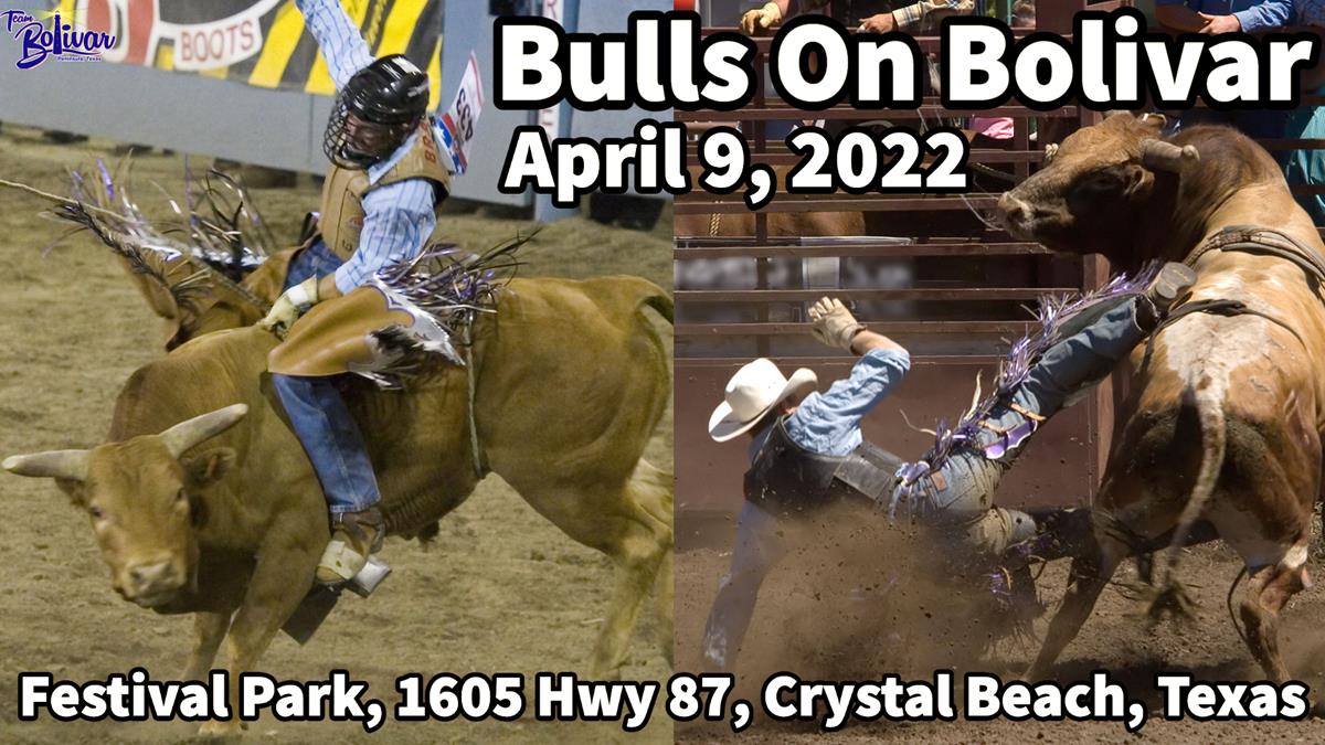 Bulls On Bolivar