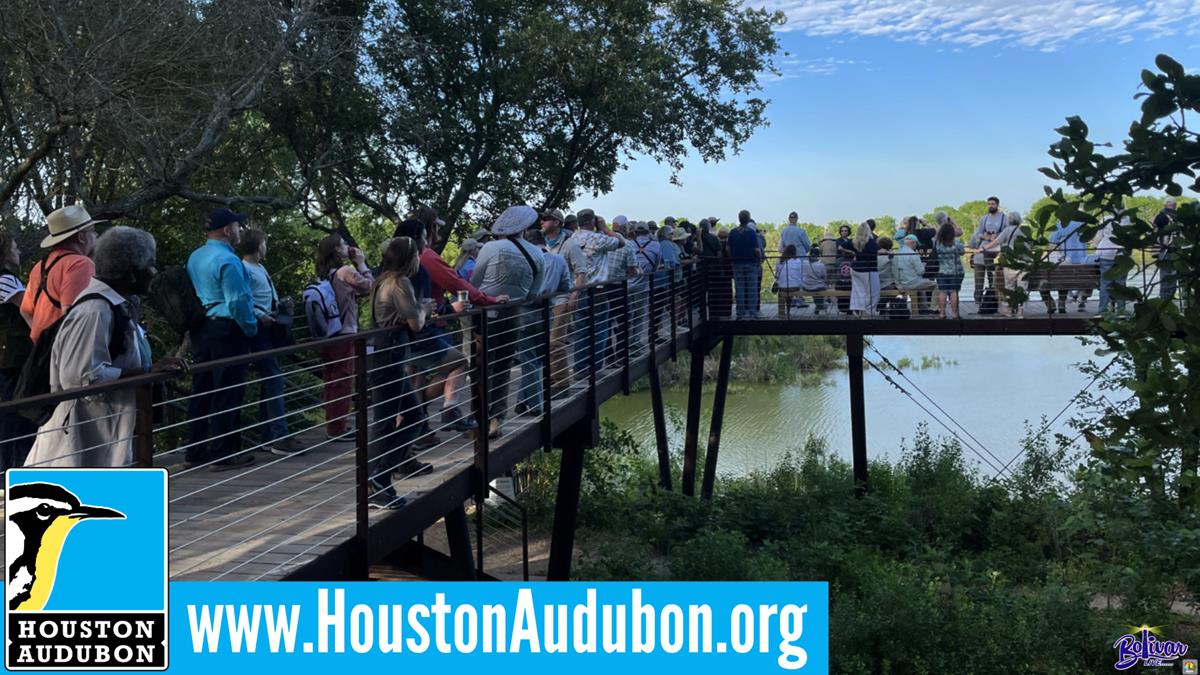 Evening on the Canopy: Spring Fundraiser at Smith Oaks Bird Sanctuary