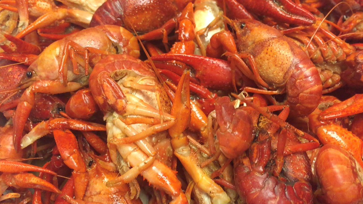 Peninsula Sports Park Crawfish Boil